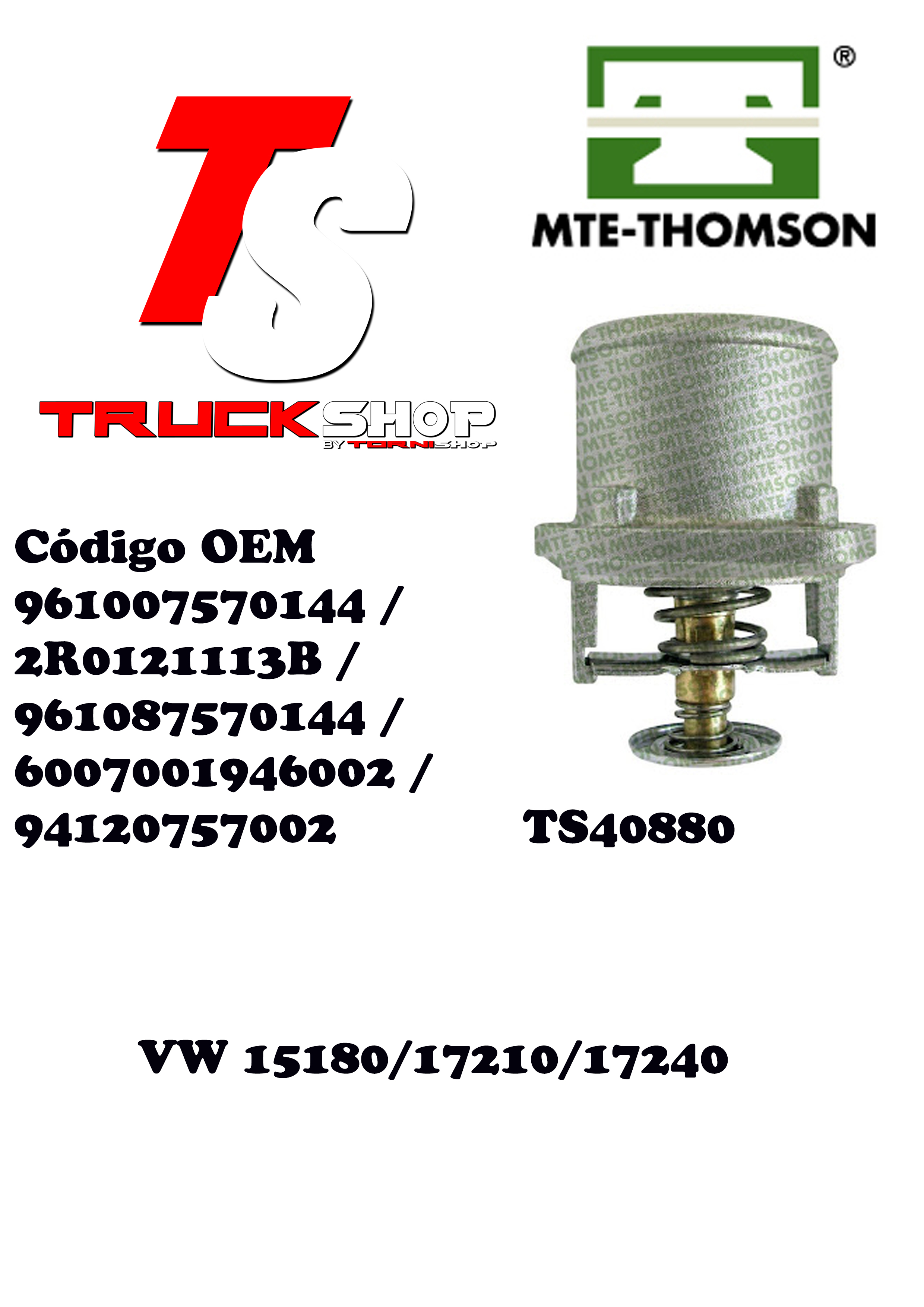 TERMOSTATO MWM X10                                                                                                                                    